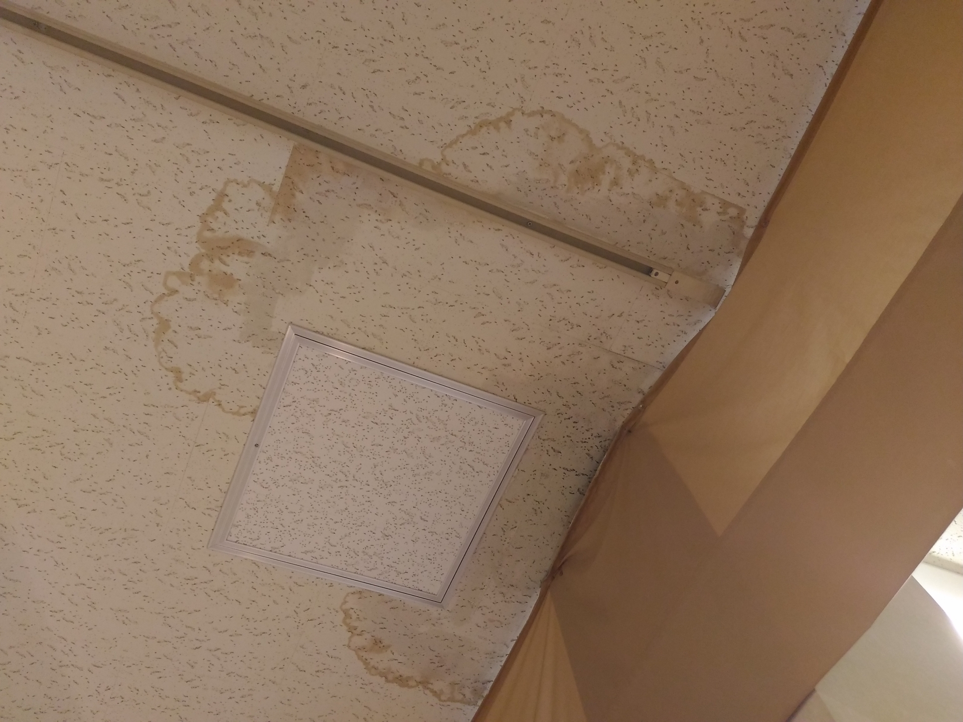 雨漏りによる天井のシミ