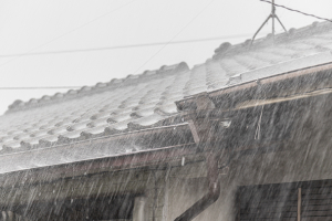 ゲリラ豪雨