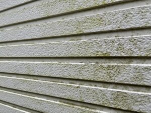 カビ・コケが発生した住宅の外壁のイメージ